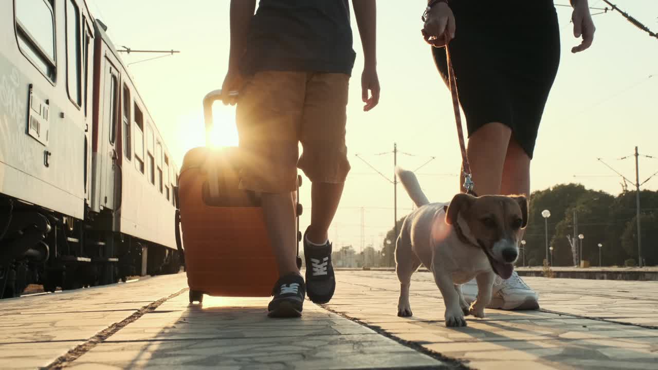 niño feliz una maleta naranja mujer perro jack russell caminar a lo largo de la plataforma de la estación de tren, para entrenar en los rayos de la puesta de sol brillante verano cámara lenta. la familia va de viaje. viaje. turismo