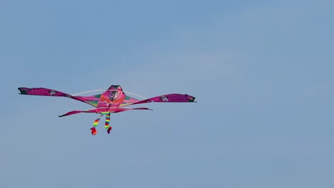 a colorful pink kite with a rainbow tail gracefully glides against a clear blue sky.