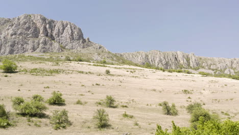 Dry-sandy-landscape-with-green-plants-and-rocky-mountains-in-backdrop