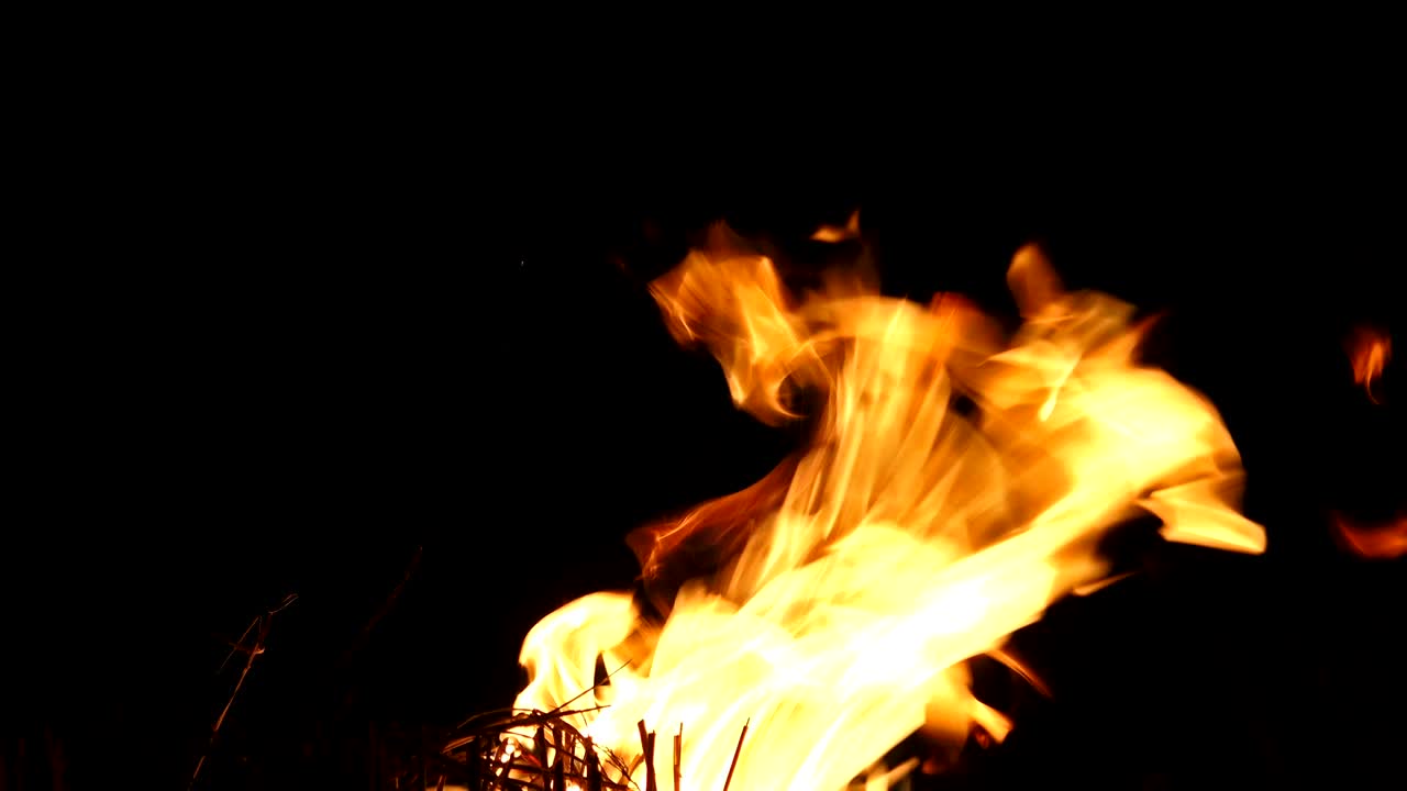 fondo de fuego detallado (uhd, bucle sin costuras)