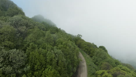 Car-Driving-On-The-Tskhratskaro-Pass-With-Green-Forest-Shrouded-By-Thick-Fog-In-Georgia