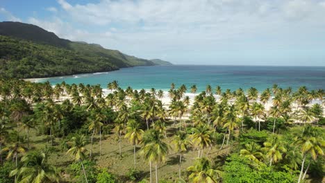 Flug-Zum-Strand-über-Eine-Palmenplantage-Auf-Der-Halbinsel-Samana