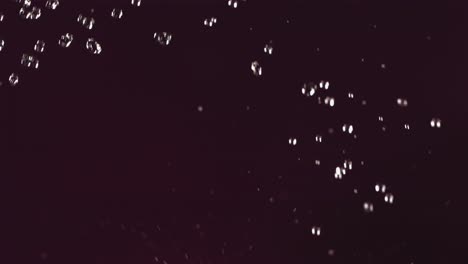 vuelo de toronja en fondo negro en cámara lenta