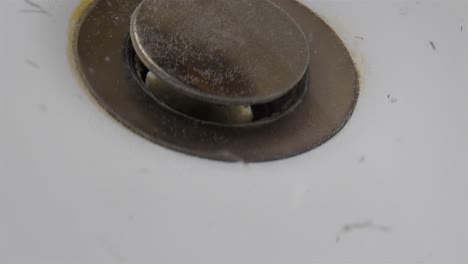 after shaving mess: hairs around sink drain plug