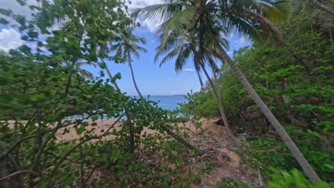 playa onda tropical beach and vegetation in dominican republic