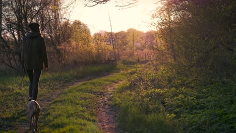 young female person and dog walk in rural area at sunset