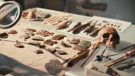 close up of table with archaeological artifacts, tools and skull in laboratory