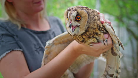 woman holding a rescued owl