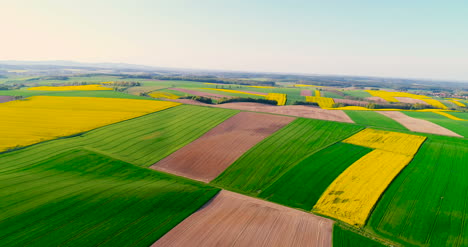 fields with various types of agriculture 4k 10