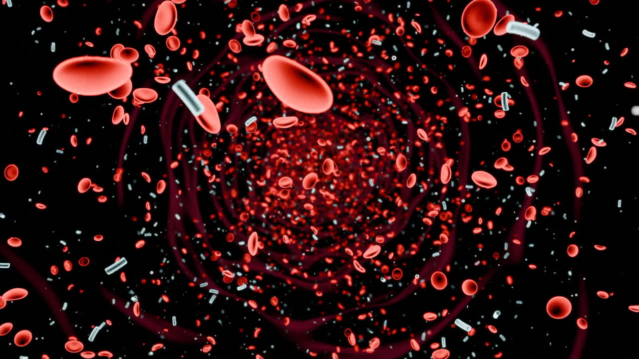 Blood Flow with Cells and Microorganisms