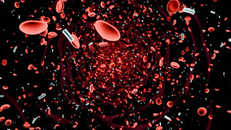 blood flow with cells and microorganisms