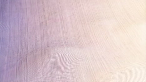abstract wavy gradient texture