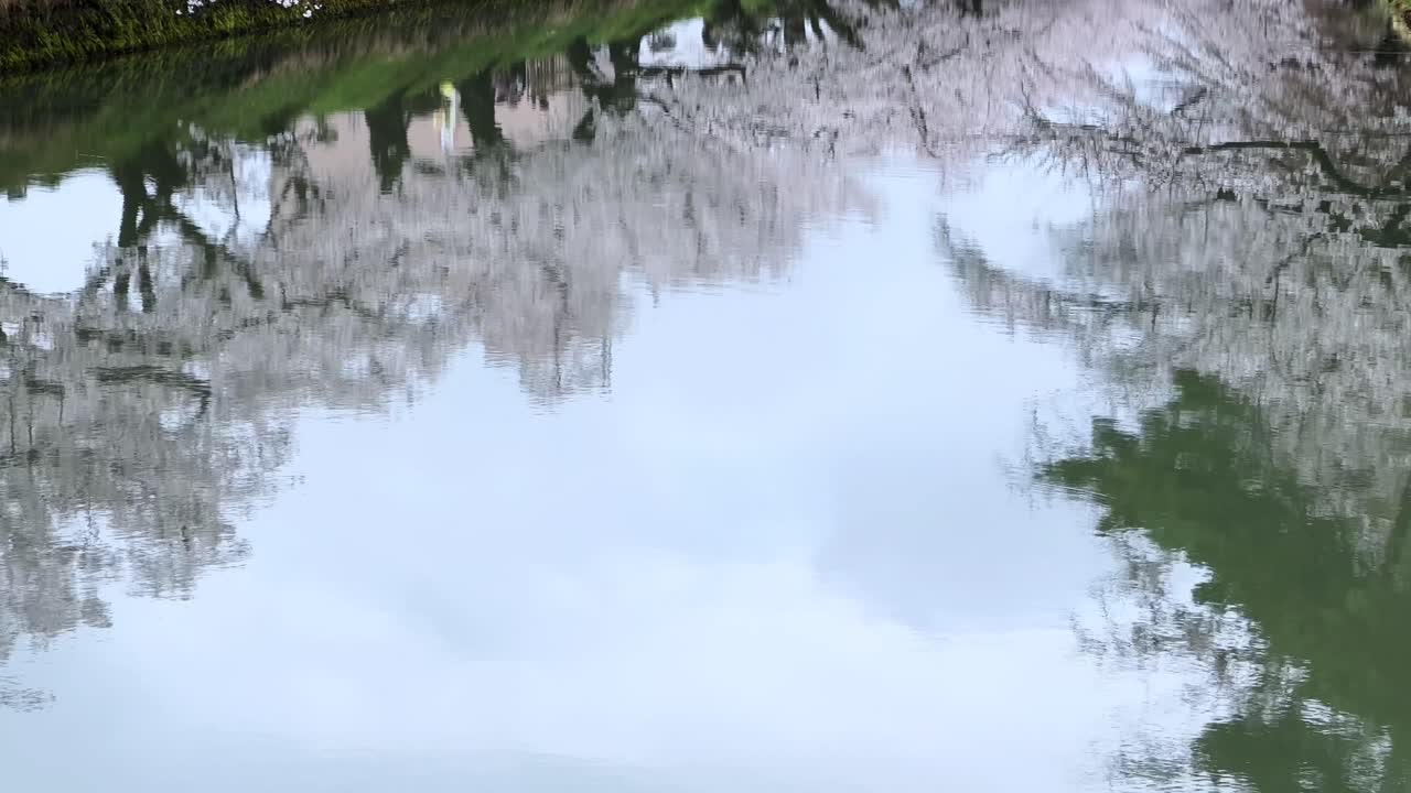 Cherry blossoms and old buildings reflect in calm water near Hirosaki Castle, Japan