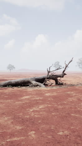 árbol muerto en un paisaje desértico