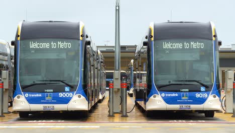 two translink electric buses charging at a depot in brisbane