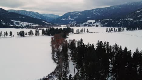 Winter's-Paradise:-Snowy-Fields,-Needle-Forests,-and-Mountains-near-Westwold-in-the-Thompson-Nicola-Region