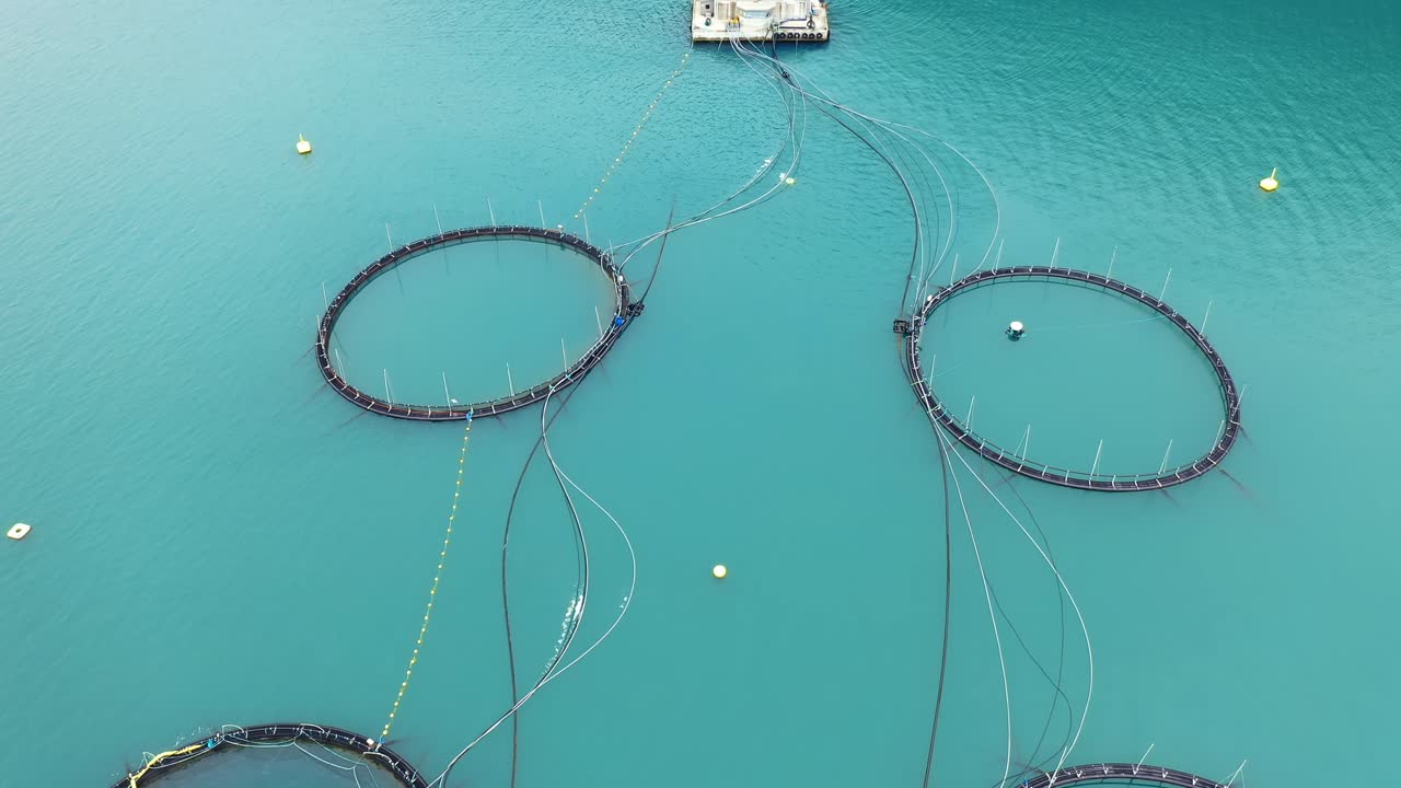 노르웨이에서 연어  ⁇ 시를 하는 공중 촬영