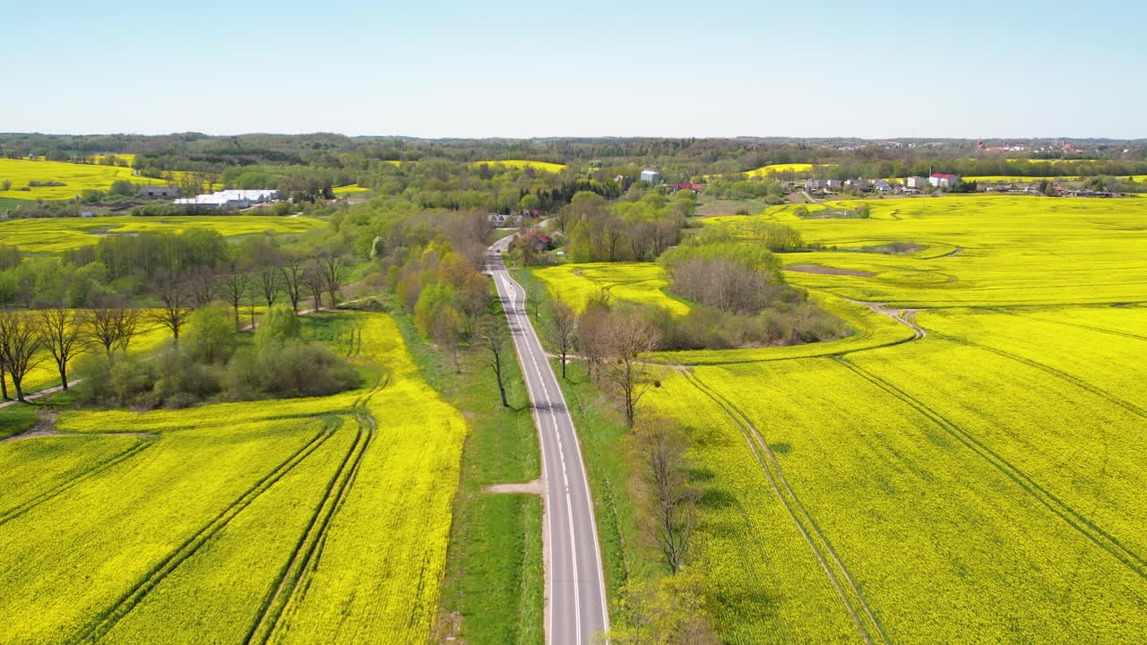 여름철 에 농업용 래프  ⁇  으로 둘러싸인 공중 비행 도로