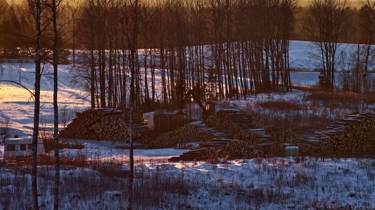 Timber harvest operation under warm orange sunset light in winter forest, aerial ascend with silhouettes