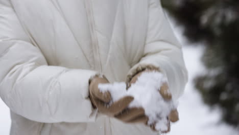 person playing with snow