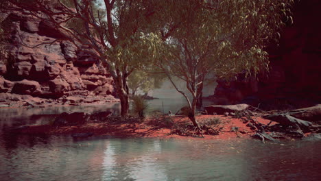 the colorado river cutting through red sandstone canyons