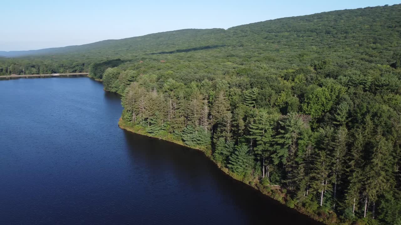vista de pájaro sobre un bosque rural y agua de río