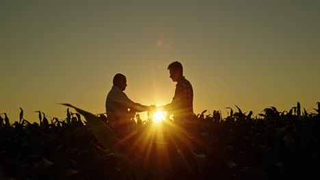 los agricultores se estrechan las manos al atardecer en un campo de maíz