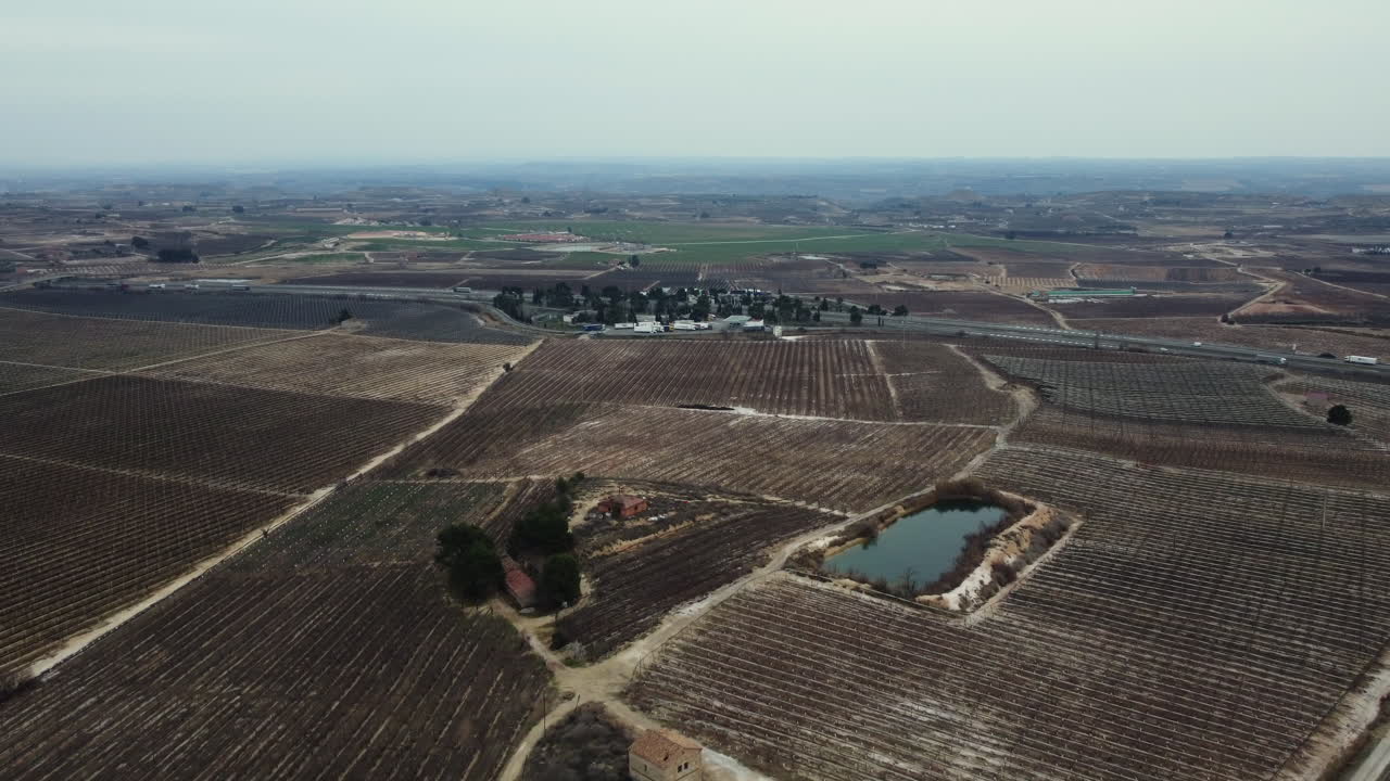 Aerial View of Vineyards and Farmland