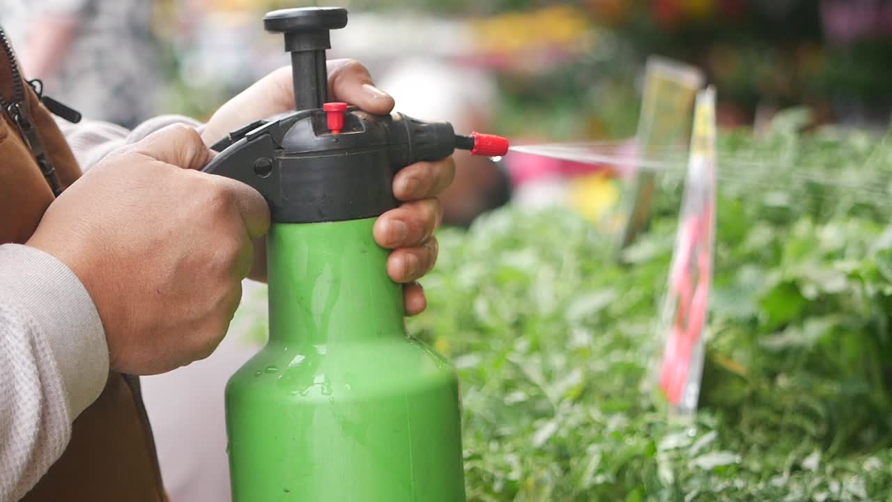 Watering Plants at a Market