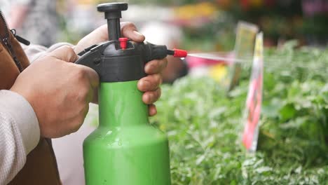 watering plants at a market