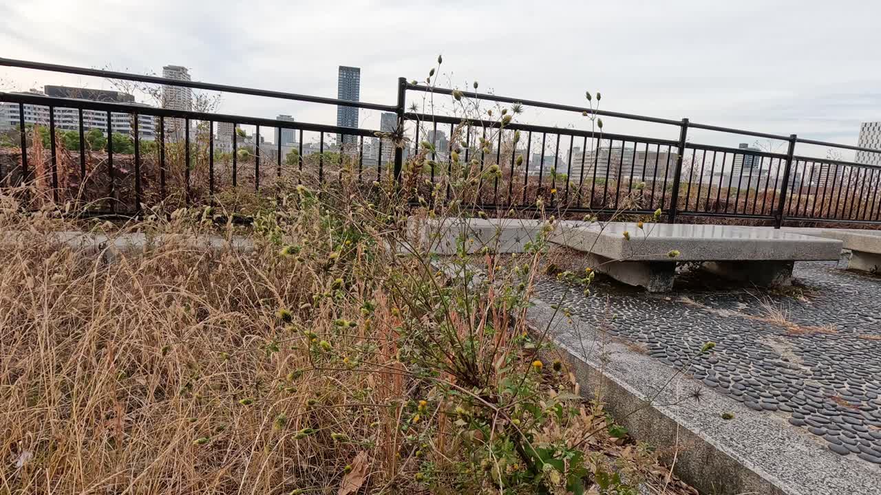 금속 레일링 에서 착륙 하고 이륙 하는 새 들