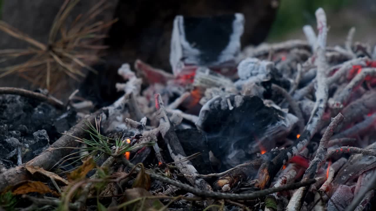 Close-up of smoldering pine branches burning in a fire