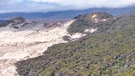 una enorme duna de arena se encuentra con la selva nativa en la isla stewart, nueva zelanda.
