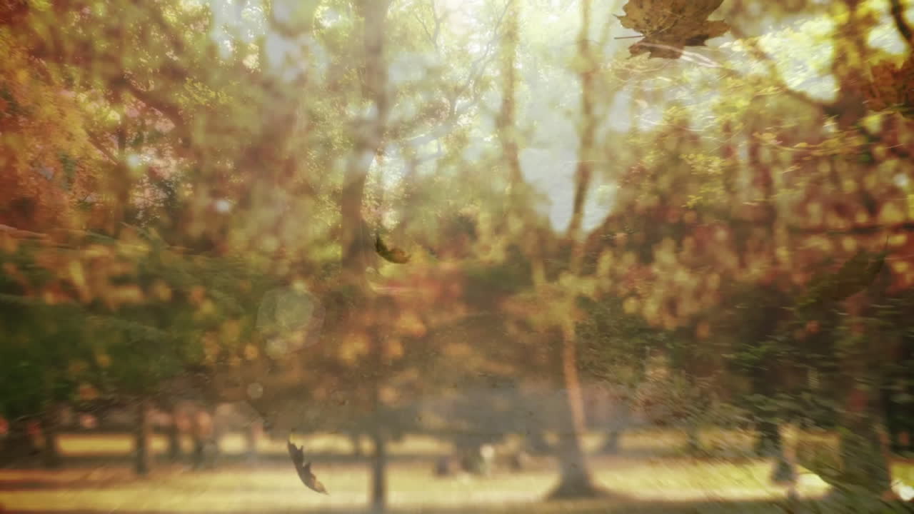 Falling autumn leaves in sunlit park with trees gently swaying in background