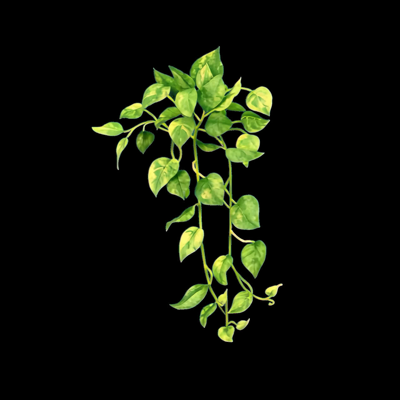 Hanging plants animation isolated asset, transparent 4K video, alpha channel, ProRes 4444