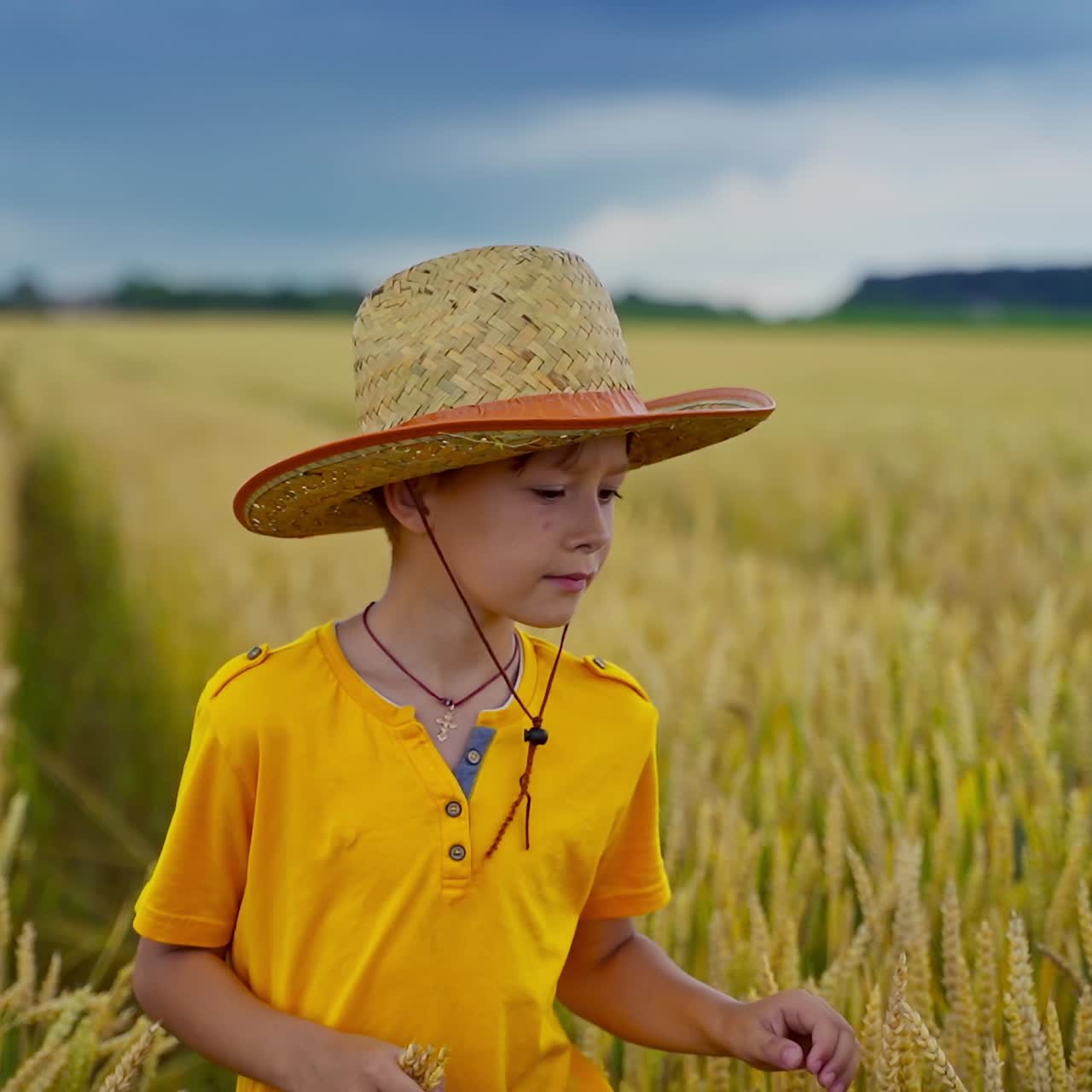 Little boy in farmland. Cute child in straw hat and yellow t-shirt walking inside the field with growing wheat in summer day. Agriculture concept.