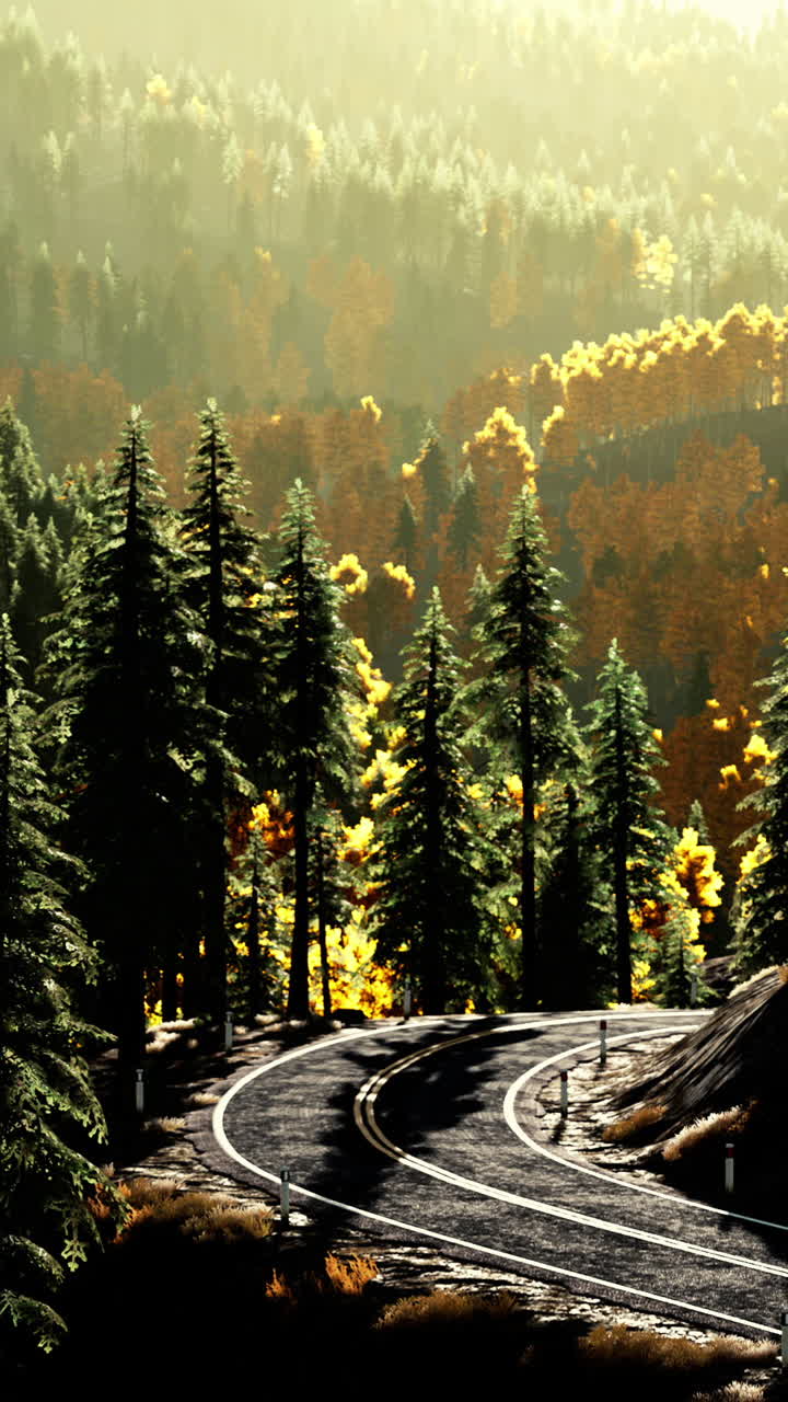 안개 숲 을 가로질러 휘어지는 길