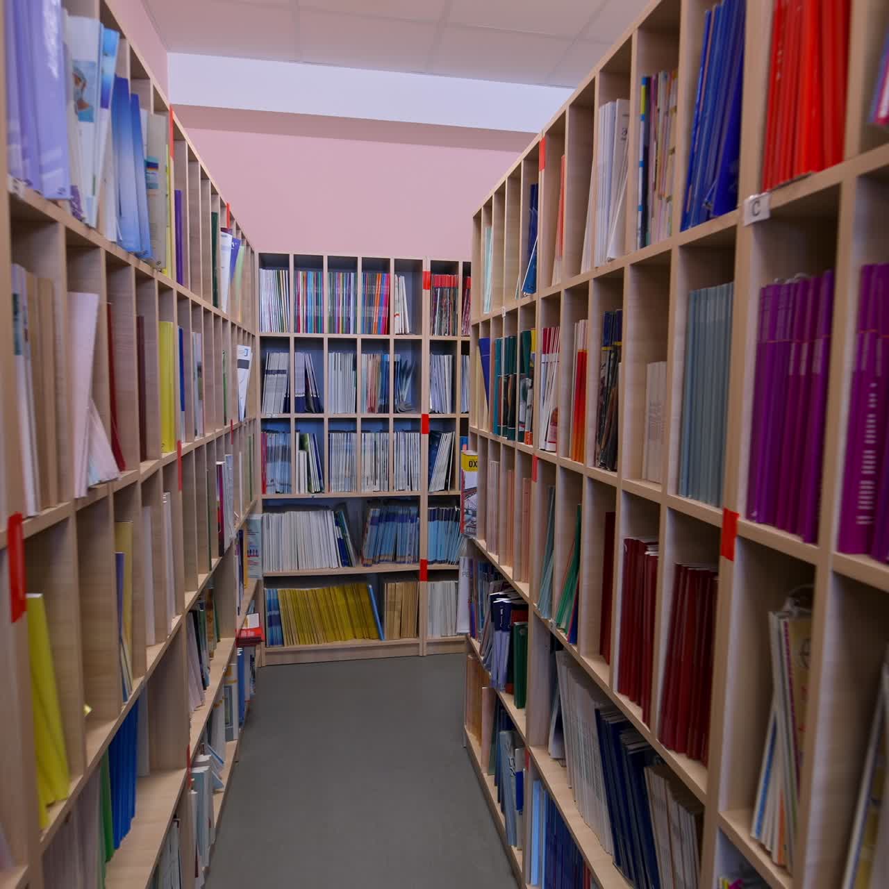 Modern bookstore. Educational literature stacked on shelves for students in the library. Wooden bookcases with many books indoors