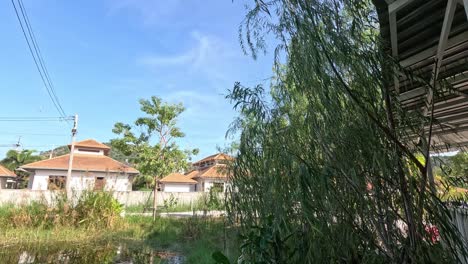 casas residenciales con árboles y un cielo despejado
