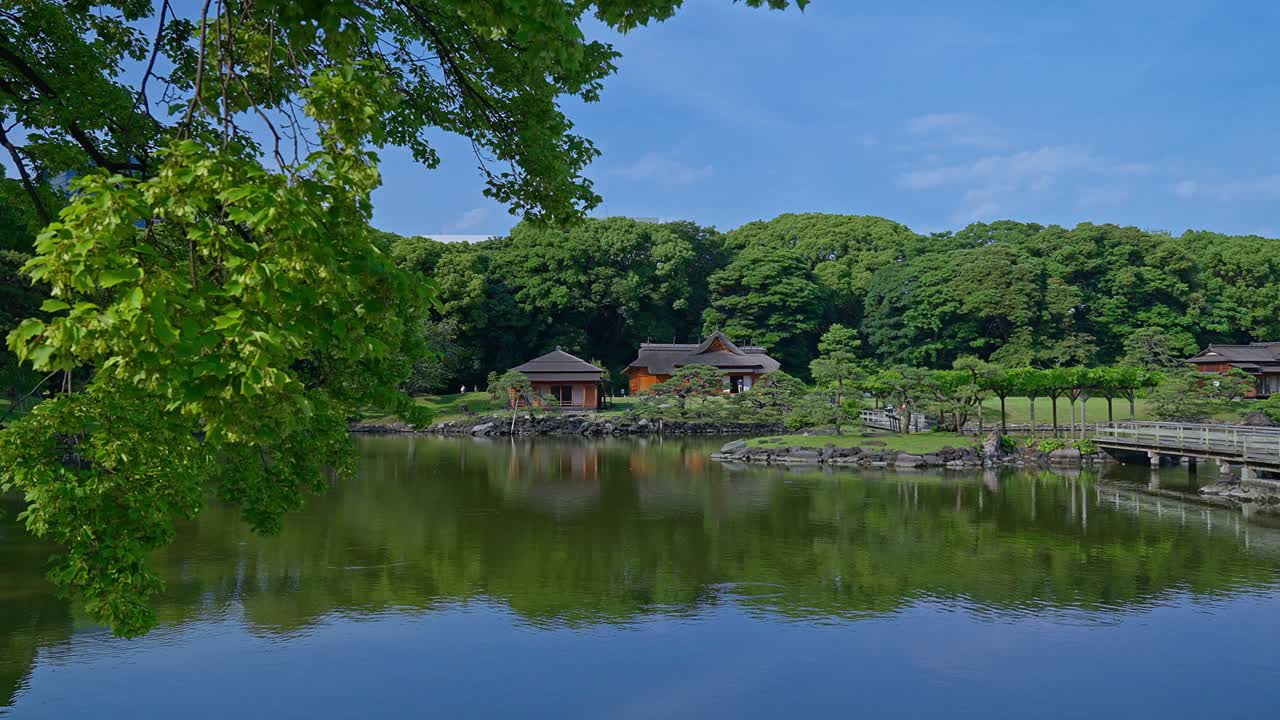 Beautiful Japanese traditional garden and pond  Tokyo