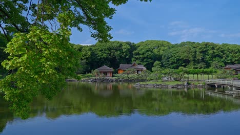 Beautiful-Japanese-traditional-garden-and-pond--Tokyo