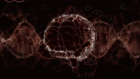 animation of mathematical data processing over human brain on black background