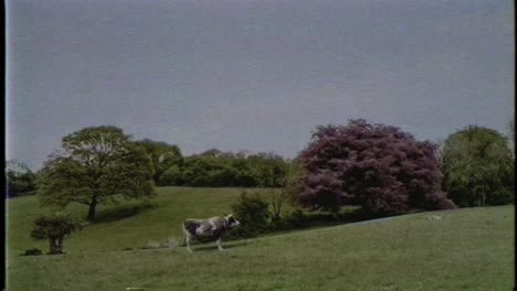 ufo alien abduction cow ufo unidentified flying object aliens close encounter 4k