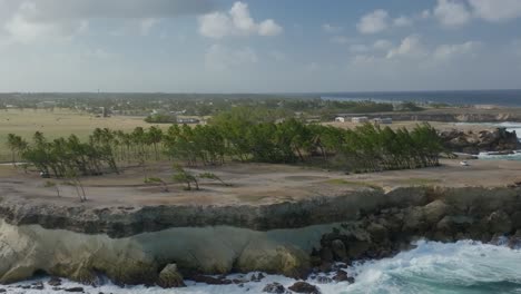 el fuerte viento sopla a través del palmeral y provoca fuertes olas en la bahía de st. lucy, barbados.