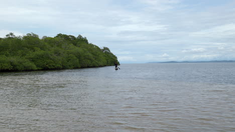 Statische,-Weit-Entfernte-Aufnahme-Eines-Einheimischen-Aus-Panama,-Der-In-Einem-Kleinen-Boot-Rudert-Und-Im-Wasser-In-Der-Nähe-Des-Dschungels-Nach-Fischen-Sucht