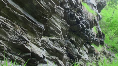 夏の峡谷で、シダの植物や木々が周りにある雨の間の石の壁のリラックスした映像