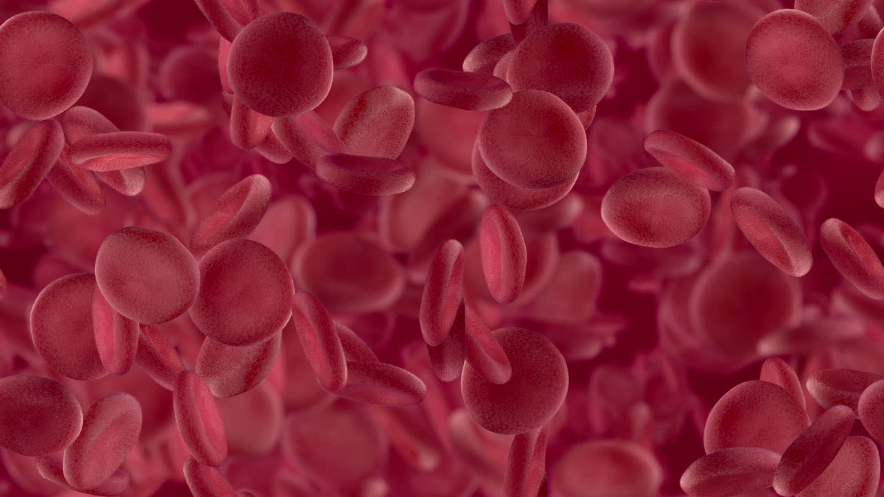 los glóbulos rojos se arremolinan el fondo looptile