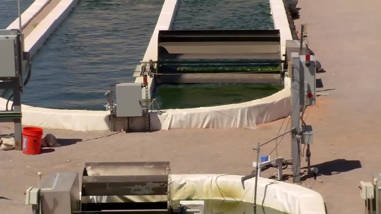 una granja de algas al aire libre desarrolla biocombustible 3