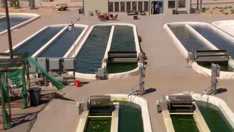 una granja de algas al aire libre desarrolla biocombustible 3