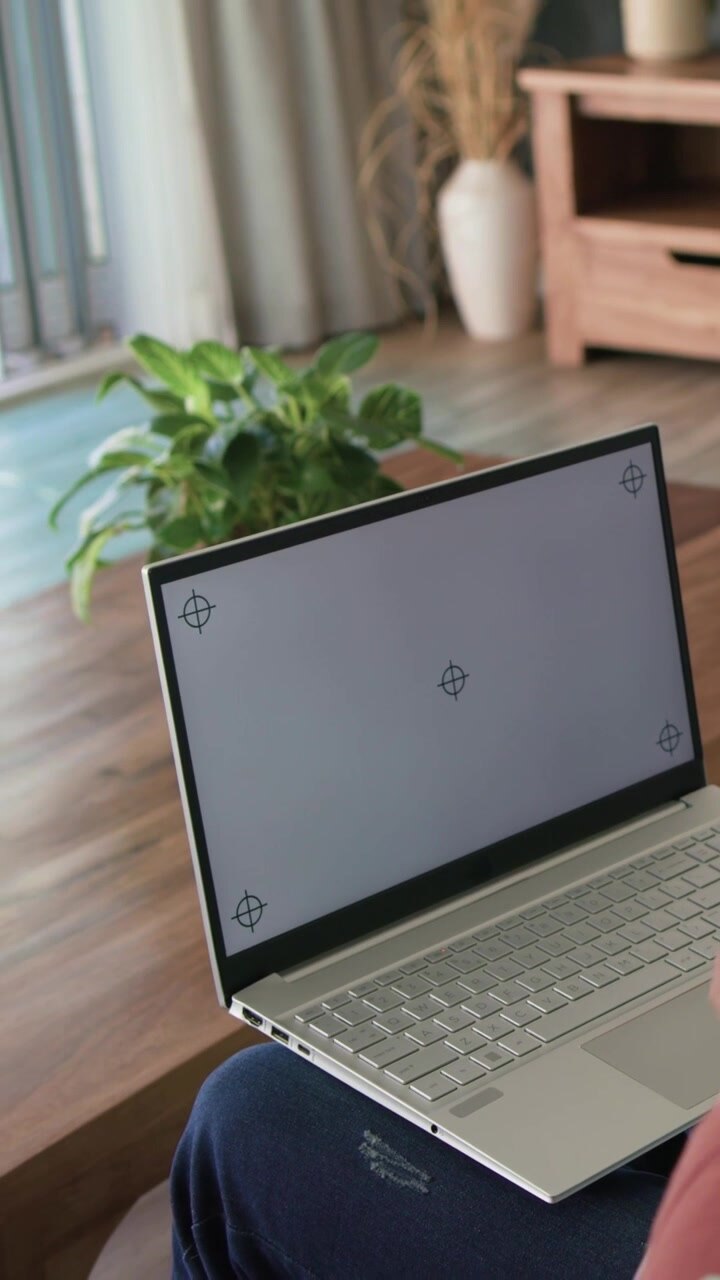 Vertikales Video: Hände stellen silbernen Laptop auf dem Schoß ein, während Kamera zu Hause schwenkt, Pflanze, Vase einrahmend